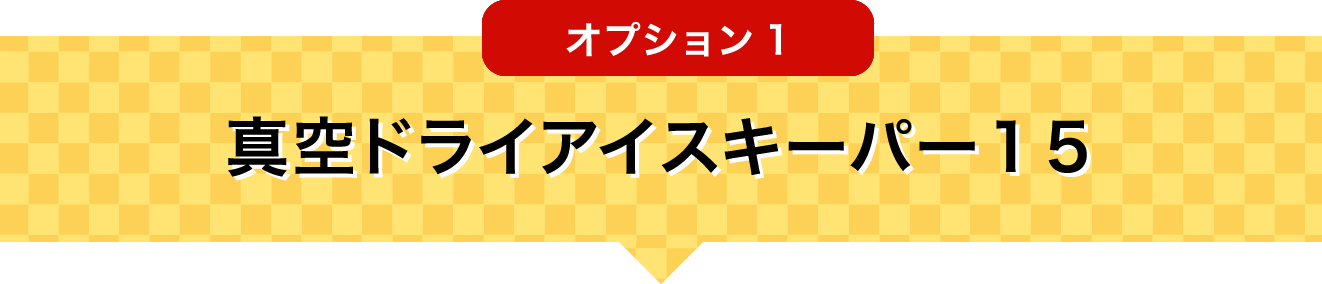 オプション1 真空ドライアイスキーパー15